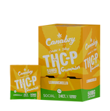 CANABZY THC-P GUMMIES 50MG 2CT/24PK
