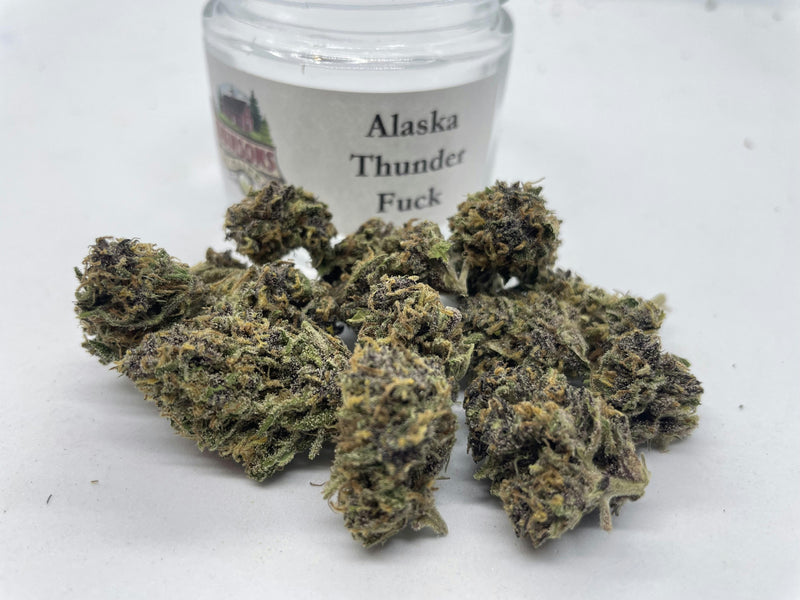 Invalid:8SUNDAE-STIVA-ALASKAN THUNDER