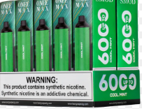Smod 6000 Onee Max Cool Mint