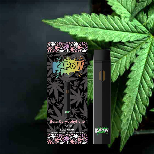 KIPOW BETA CARYOPHYLLENE  INDICA FULL GRAM PREMIUM THC-O DISPOSABLE 5PCS/BOX