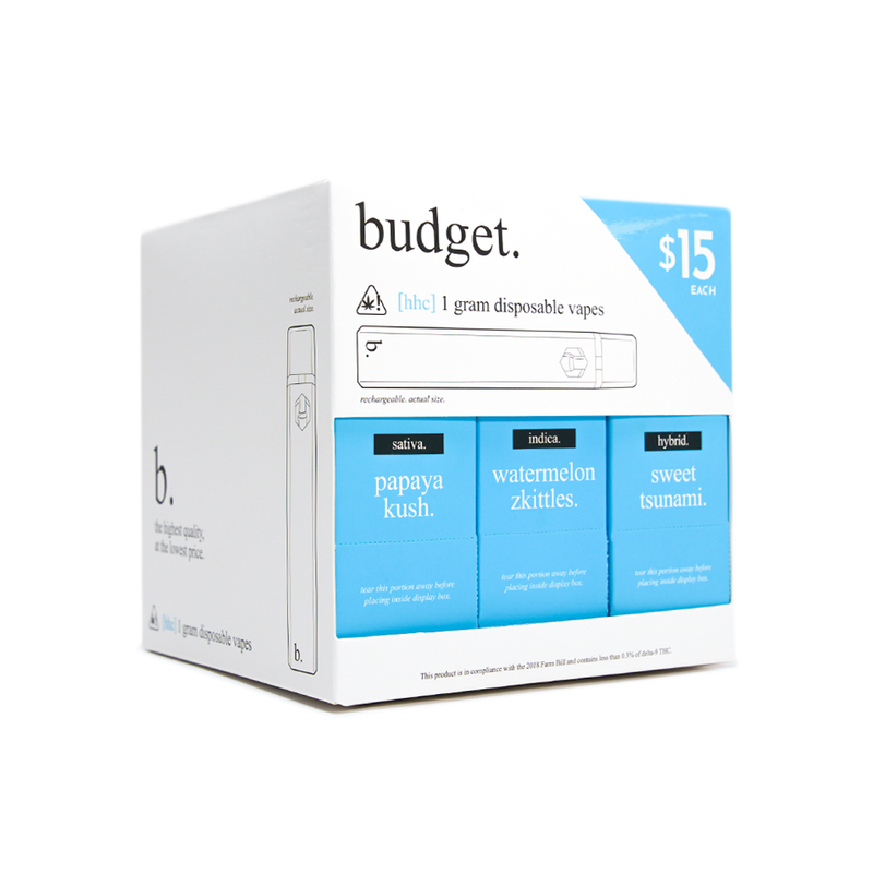 BUDGET 1 Gram DISPOSABLE Vape Pen 30CT DIPLAY