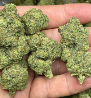 HAPPY SHAMAN THCA FLOWER XXXOG 7 GRAMS