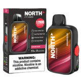 North FT12000 Disposable Vape