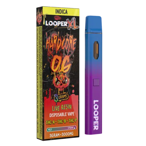 LOOPER XL Disposable Vape 3g Smart Warehouse Inc. LOOPER XL Disposable Vape 3g Smart Warehouse Inc.