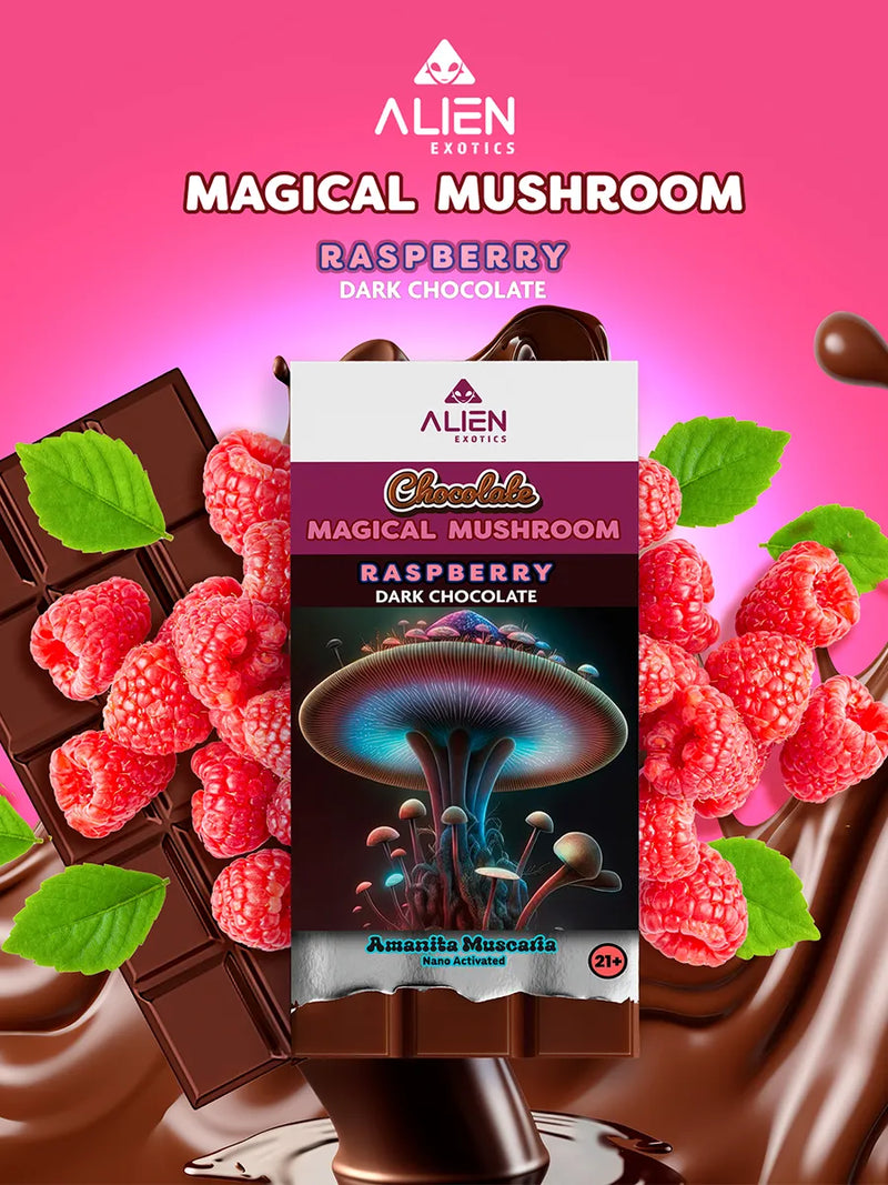 Alien Exotics Chocolate Magic Mushroom Amanita Muscaria Nano Activated 45G