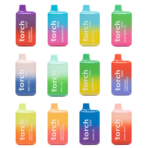 TORCH 5000 PUFFS DISPOSABLE SALT NIC VAPE - EB DESIGN