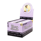 Blazy Susan - 1 1/4 Purple Cones (20pk)(12ct)
