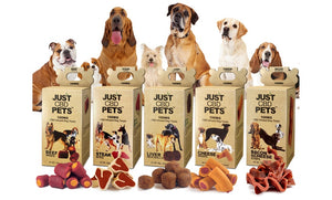 Just CBD Pets | 100mg CBD Infused Dog Treats