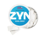 Zyn Nicotine Pouch