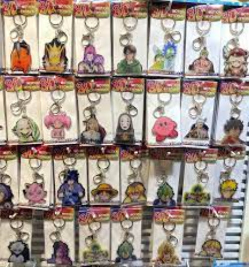 3D Motion Key Chains Acrylic 5 PACK