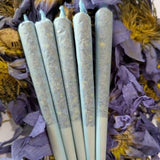 SALVIA BLUE LOTUS JELLY ROLLS JARS 10CT 2.5G