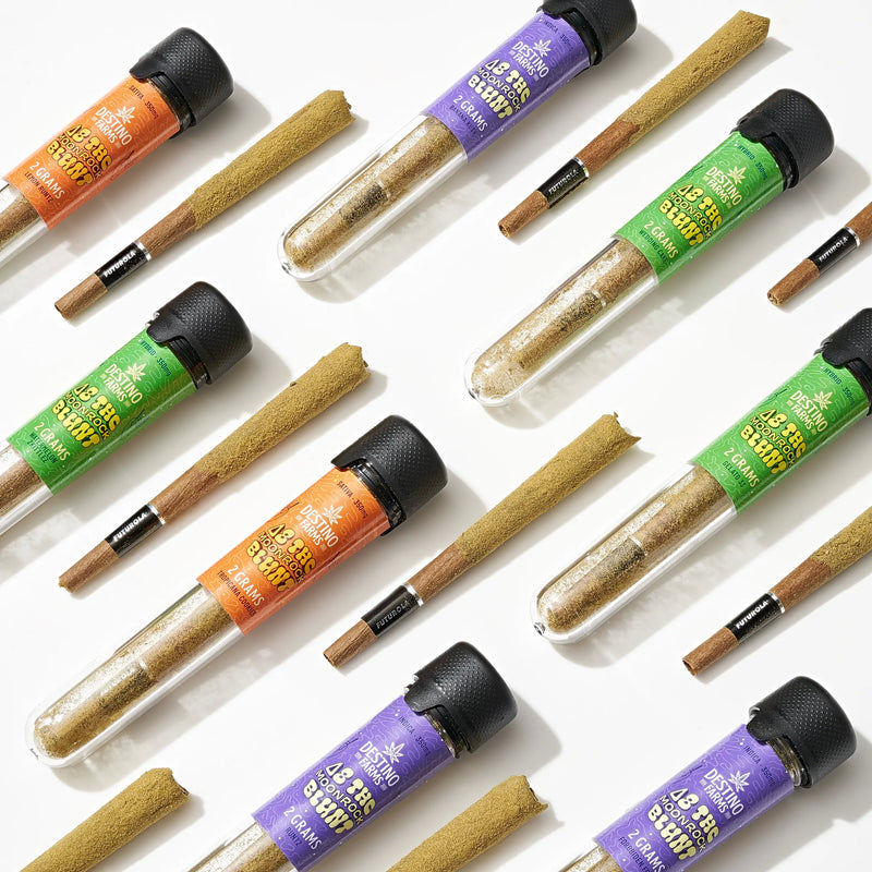 SAUCEY BLUNTS DELTA 8-10 PREROLL ( 1546 ) 12 PCS