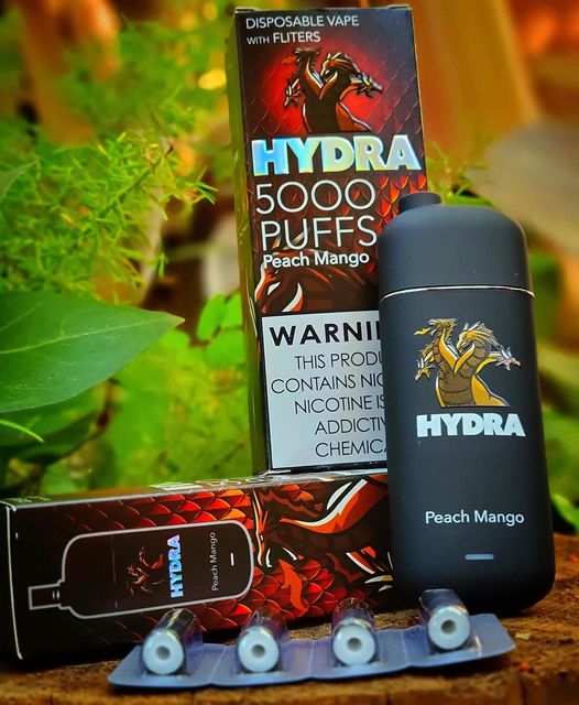 HYDRA Disposable | 1 Disp. Vape + 4 Filters | 5000 Puffs | 10 Count Box