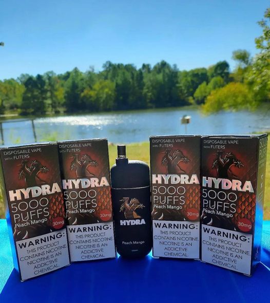 HYDRA Disposable | 1 Disp. Vape + 4 Filters | 5000 Puffs | 10 Count Box