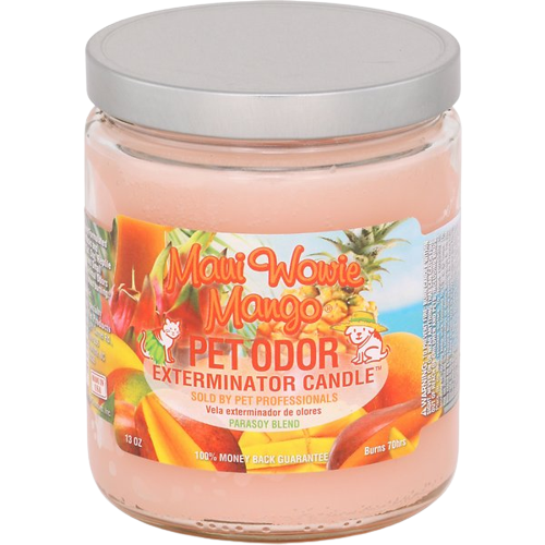 Pet Odor Exterminator Candle - Maui Wowie Mango