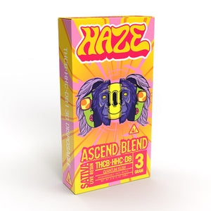 HAZE Blend Live Resin Disposable Vape – 3 grams