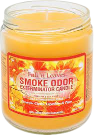 Smoke Odor Exterminator Candle - Fall 'n Leaves